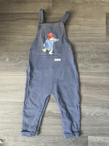 Official paddington bear - bear, blue