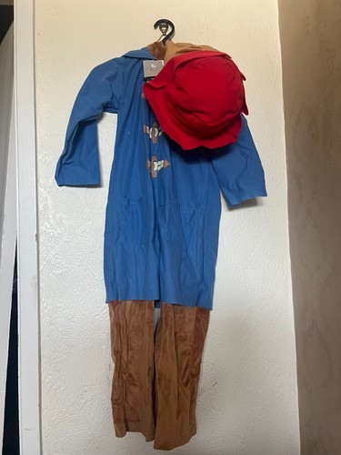 Paddington bear fancy - bear,