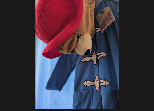 Paddington bear kids - paddington, dress