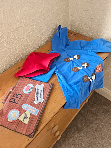 Paddington bear fancy dress - bear,