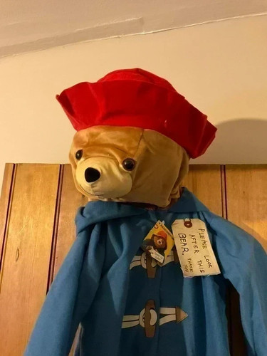 Paddington bear dress - paddington, up